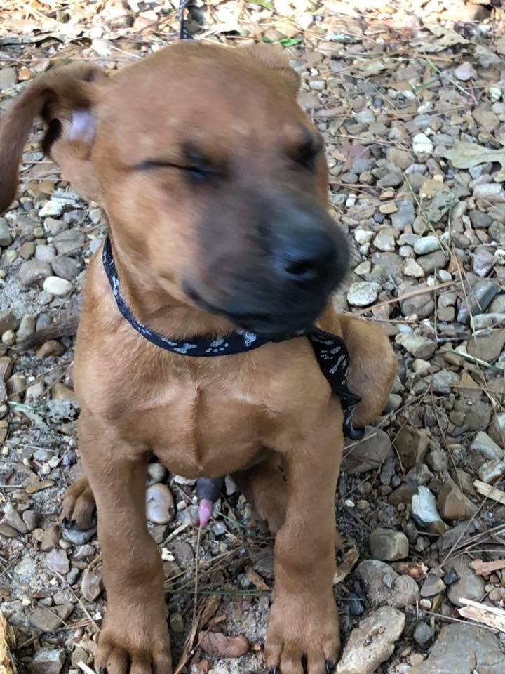 Really don't like my picture being taken.